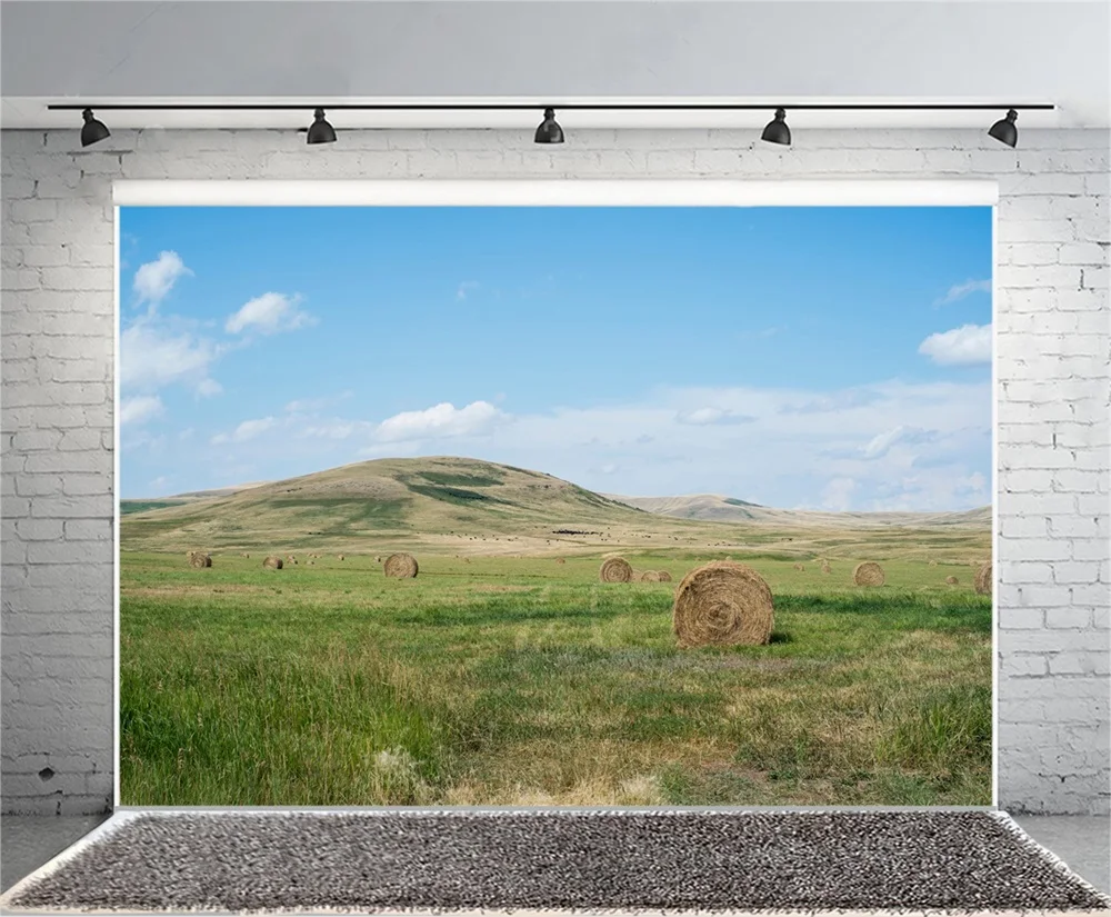 Laeacco Blue Sky Cloud Hay Stack Grassland Scenic Photographic Backgrounds Customized Photography Backdrops For Photo Studio | Электроника
