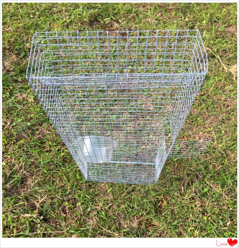 Высокое качество Лучшие продажи погремушка ловушка/погремушка клетка с низкой