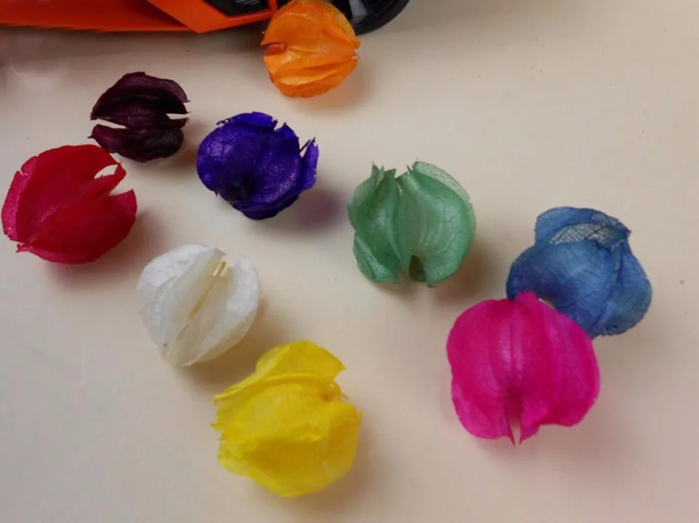 100 шт. букет из гусиных ягод| |