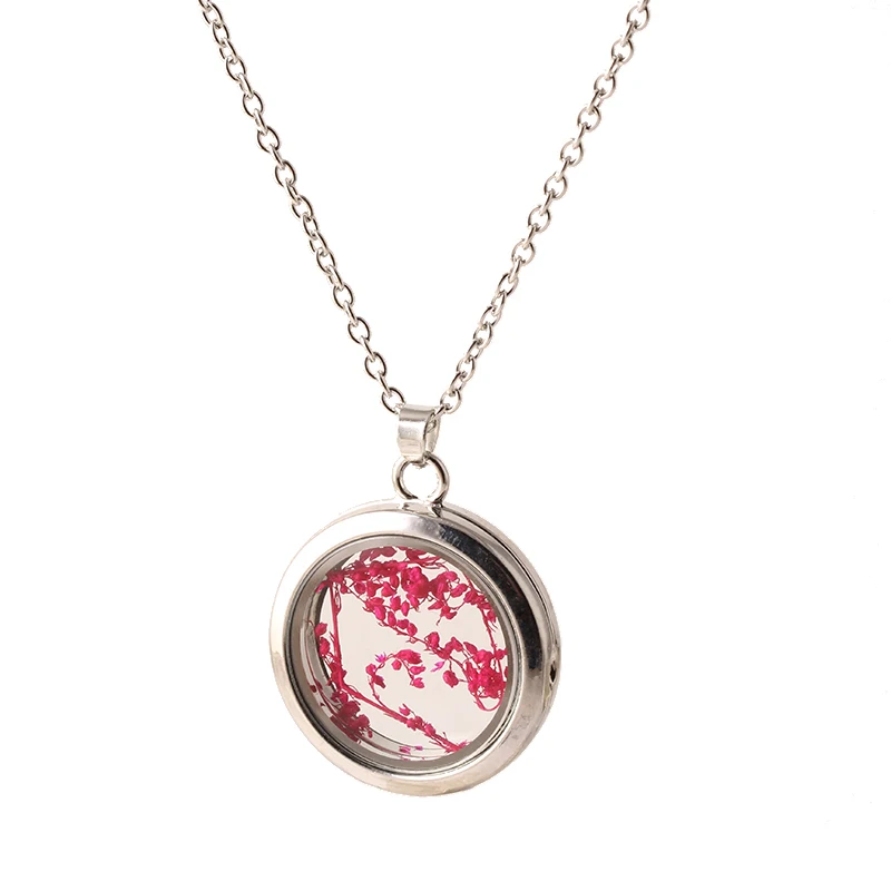 2016 Fashion Round Disk Silver Plated Grass Specimen Statement Glass Wishing Bottle Necklaces for Women Love Gift Jewelry N2171 | Украшения