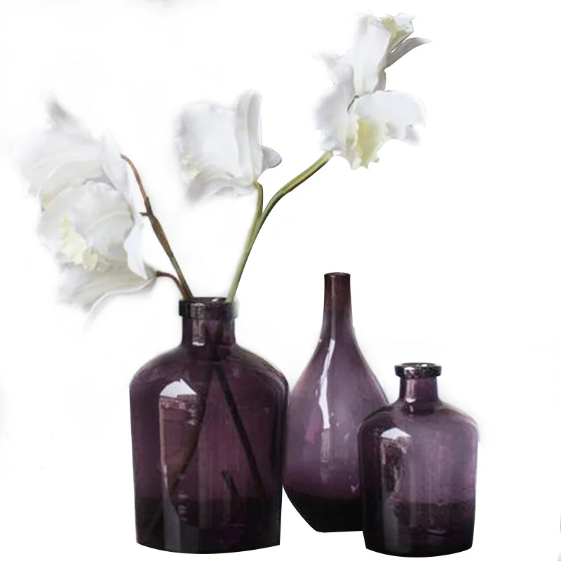 Фиолетовая серия страсти простые стеклянные вазы Современная столешница ваза