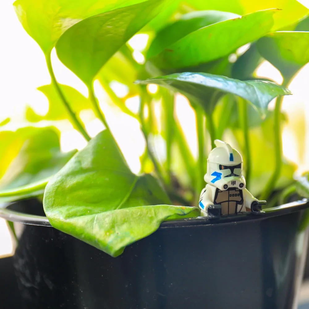 Одинарная банка Jar Binks Штурмовик из "Звездных Войн" Действие самодельные