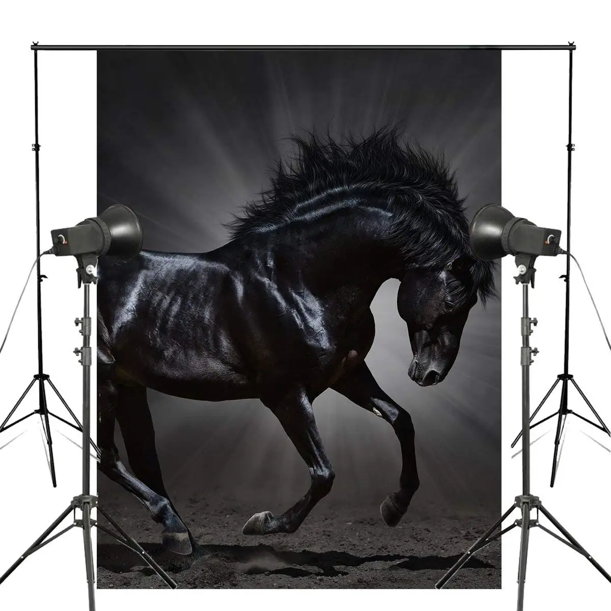 Бегущая лошадь фотография Фон животные фон студия реквизит стена 5x7ft спальня