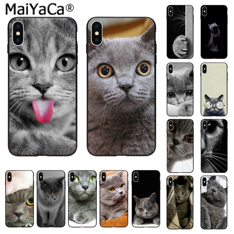 MaiYaCa милый Британский короткий кот Новинка чехол для телефона iphone 12 11 pro max 8 7 66S Plus X