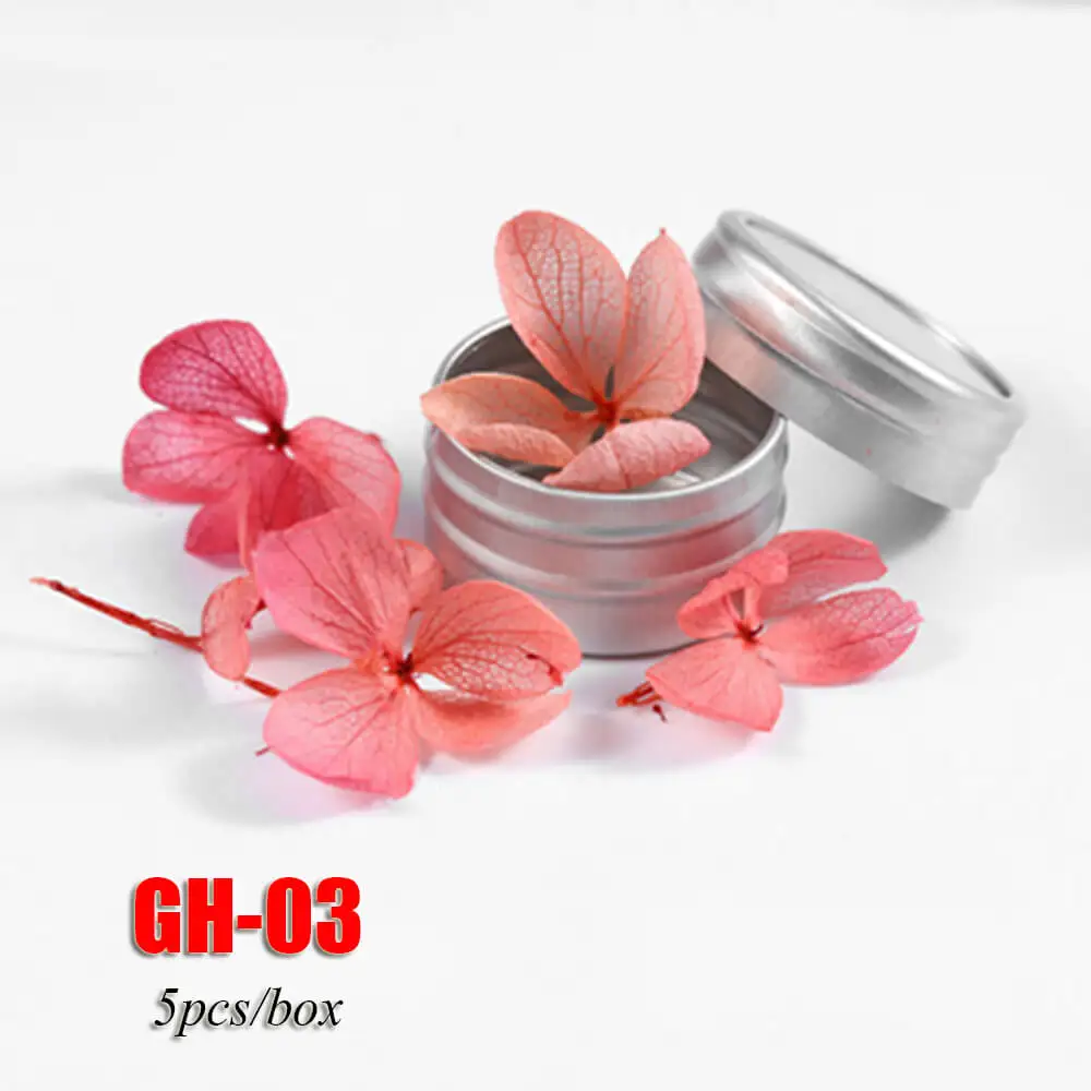 GH-03 5 шт./кор. красочные засушенный натуральный вечная цветочный дизайн ногтей украшения «сделай сам» советы на весь ноготь наклеивающиеся Переводные картинки для детей летний Нейл-арт - Цвет: GH-03