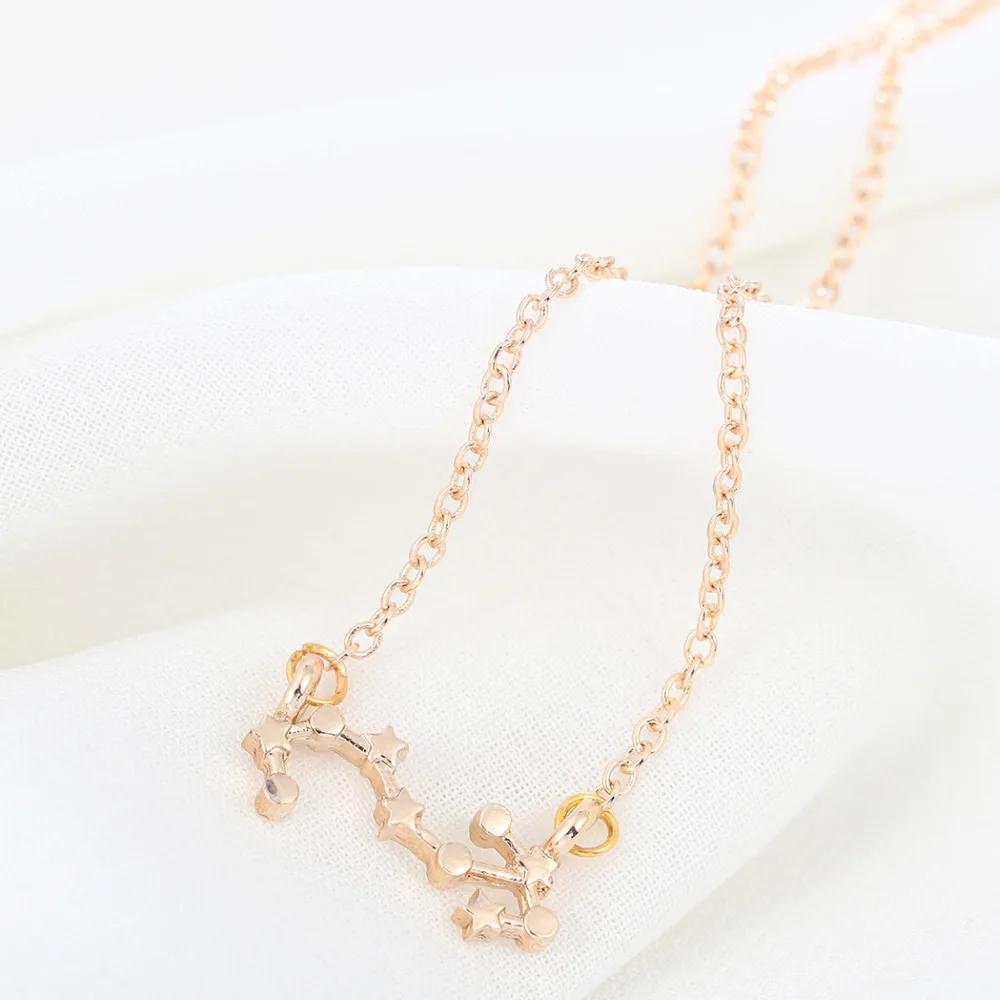 Kinitial Birthday Gift! 10pcs Gold Silver Scorpio Necklace Zodiac Sign Astrology Constellation Horoscope 24/10-22/11 | Украшения и