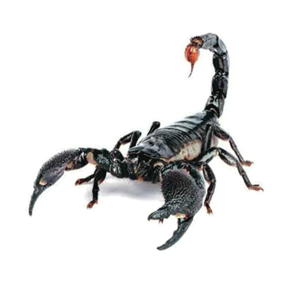 Scorpion 3D ПВХ стикер для автомобиля ящерица скорпион паук наклейка на кузов и окна автомобиля Наклейка для автомобиля - Название цвета: Scorpion