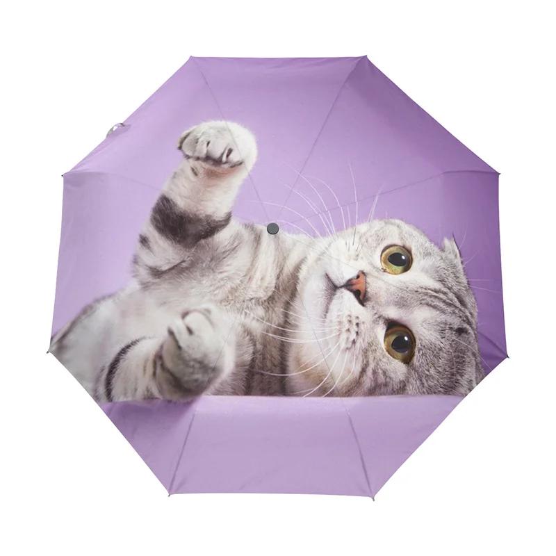 Cat Umbrella Милый кошачий зонтик, женский ветрозащитный Сверхлегкий компактный Автоматический Складной Зонтик, женский зонтик для девочки - Цвет: Cat Umbrella
