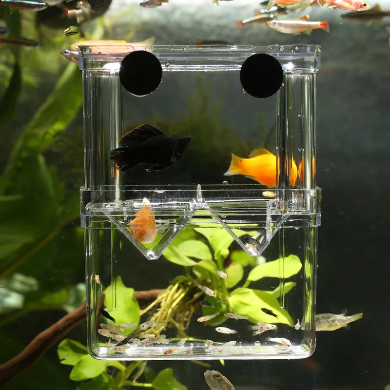 Горячая Распродажа многофункциональная изолирующая коробка для разведения рыб