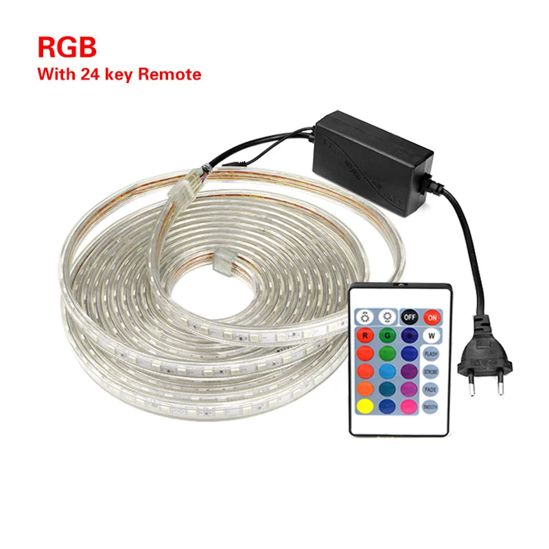 RGB гибкие лампы светодиодный свет шкафа 5050SMD AC220 60 Светодиодный s/m Водонепроницаемый наружная лента Сад домашний декоративный свет Система электроснабжения ЕС - Цвет: RGB with 24key