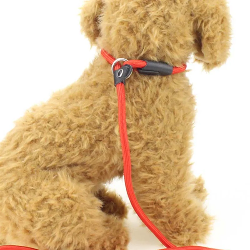 140cm Length 0.6/0.8/1.0cm Diameter Nylon Dog Leash Rolled Round Strong Slip Dog Lead Collar Pet Training Rope Correa Perro 10E