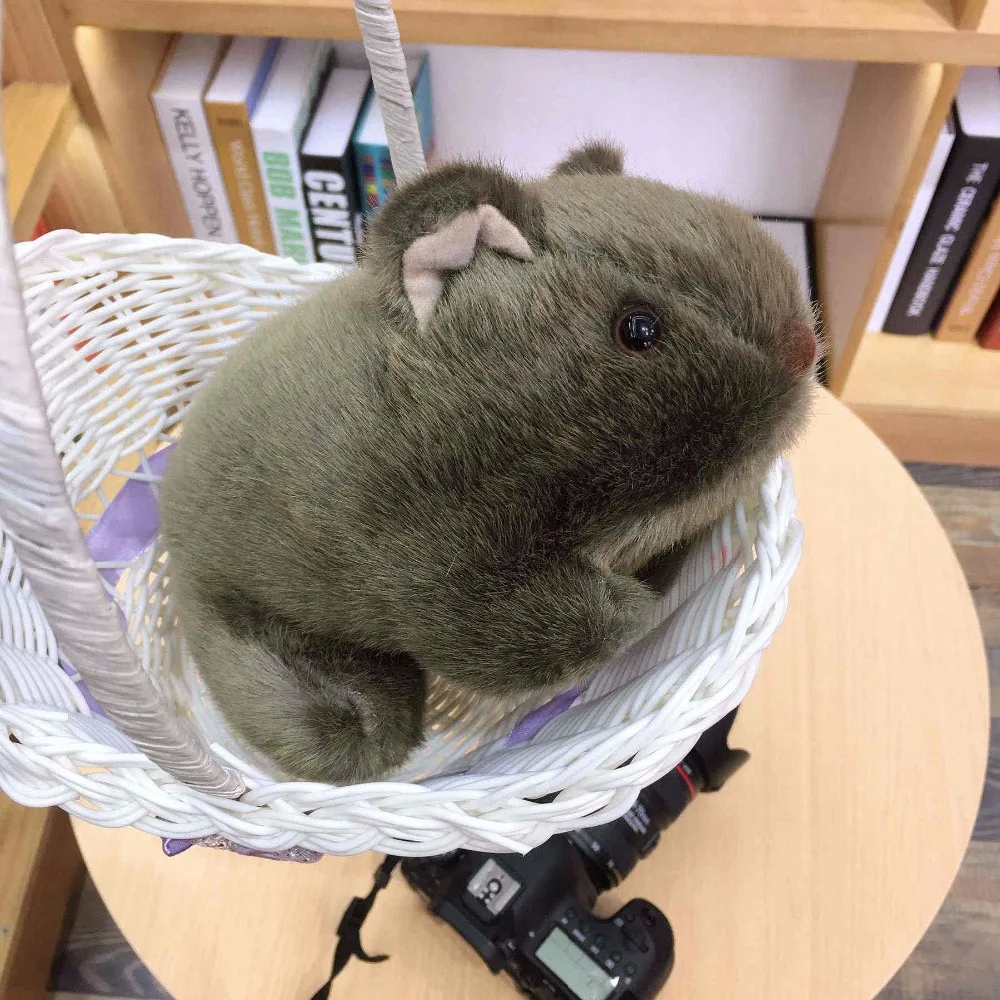 1 шт. 18 см Моделирование Плюшевые вомбат свинки Cavia Porcellus игрушка чучело дикие