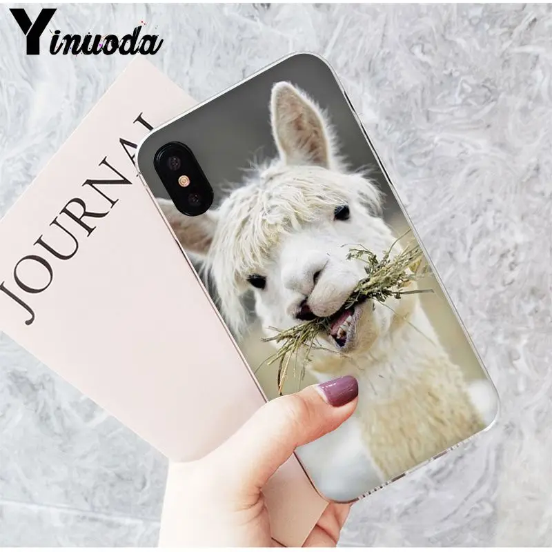 Yinuoda Lama Alpacas красочные милые аксессуары для телефона чехол iPhone X XS MAX 6 6S 7 7plus 8 8Plus 5 5S