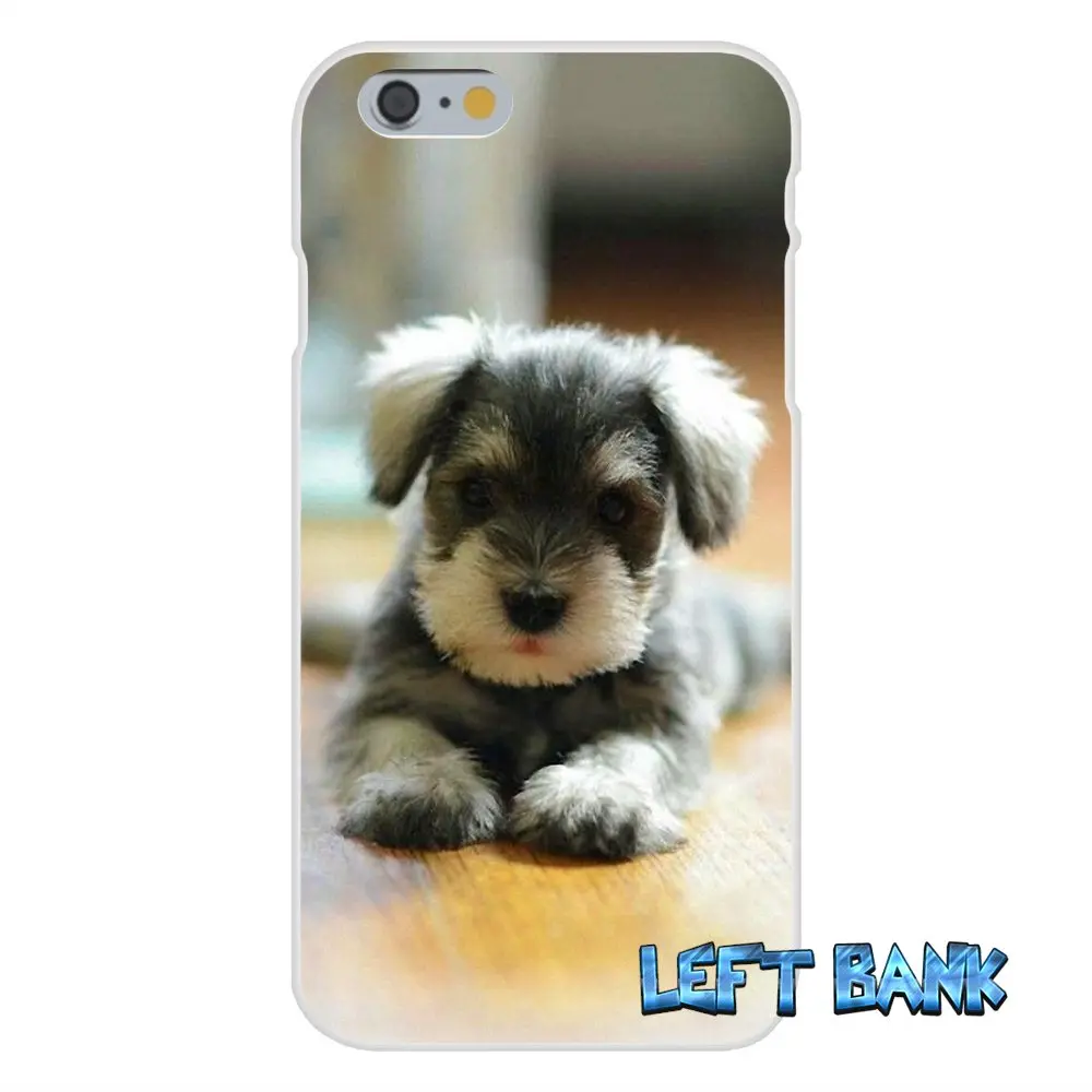 Schnauzer Puppy Dog Мягкий Силиконовый ТПУ Прозрачный чехол для iPhone 4 4S 5 5S 5C SE 6 6S 7 Plus|case for