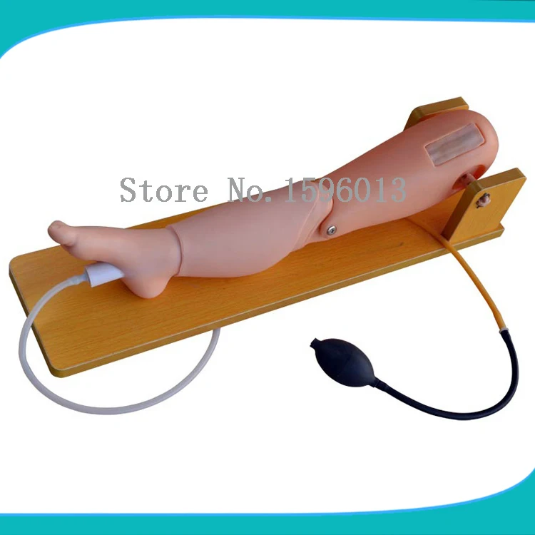 Детская модель прокола костного мозга и бедренной венозной проколы|modeling terms|model