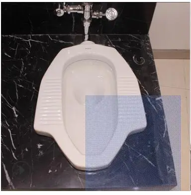 OTO подлинное приседание Туалет CW8RB Керамическая сантехника для домашнего