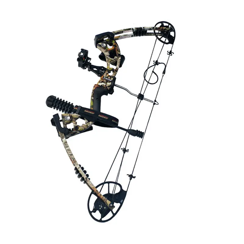 1 Set Archery Compound Bow With Accessories 30-70lbs 75%Left-off 320fps Powerful Right Hand Outdoor Shooting | Спорт и развлечения