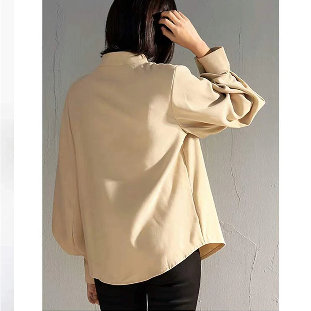 2019 с рукавом-фонариком свободные рубашки Топ Женская винтажная блуза длинным