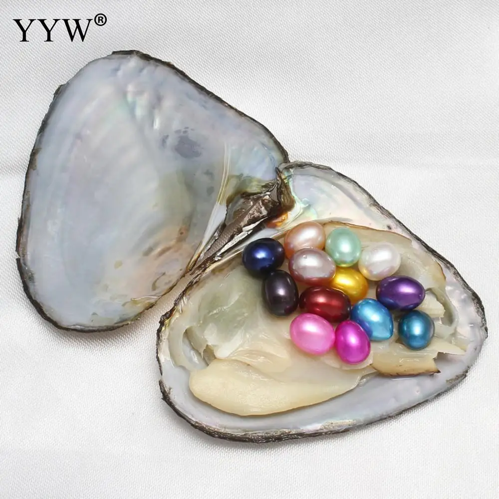 

4PCs/Lot 7-8mm Vacuum pack Oyster pearl Freshwater Pearl Rice mixed colors One Oyster With 10 Pearls Oyster pearl Free shipping