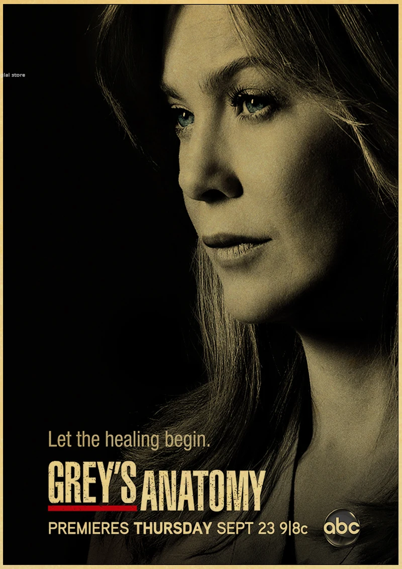 A054 Greys Anatomy ТВ-шоу замечательный ретро постер винтажный Декор для спальни Наклейка на стену - Цвет: A054