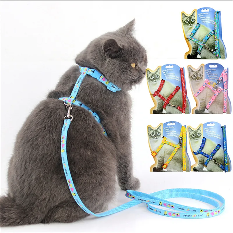 1 шт. кошка нагрудный ремень + поводок полиэфир домашнее животное пес Собачка