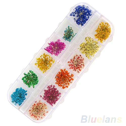 60pcs Real Dry Dried Flowers Nail Art Tips Stickers Manicure Decoration DIY 1MKR 2NBS 8ZYA | Красота и здоровье