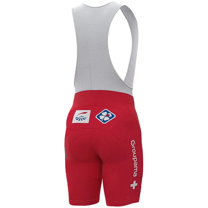 2019 команда FDJ GROUPAMA Швейцарский чемпион с коротким рукавом велосипедная Джерси