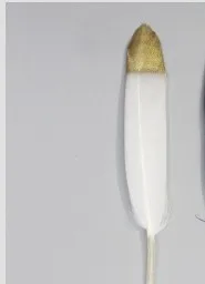 4-6 дюймов(10-15 см) DIY золотые гусиные перья с обжимной крышкой - Цвет: White tip gold point
