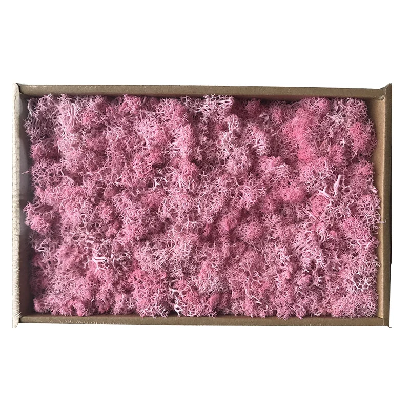 Подарки на день матери 200 г DIY украшения длительный срок сухой мох цветок для интерьера все виды оттенков - Цвет: 011