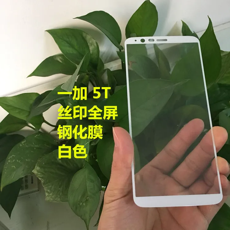 Закаленное 3d стекло для Oneplus 5T 2 шт. полноэкранная Защитная пленка 5T|Защитные