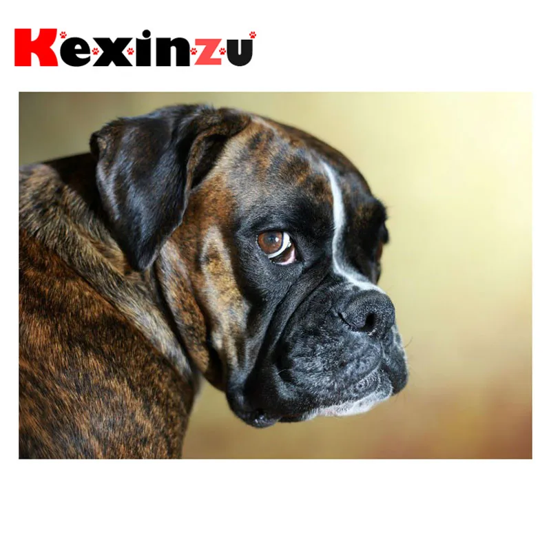 

kexinzu Full Square/Round 5D Diy Diamond Painting Cross Stitch "Animal Dog" Diamond 3D Embroidery Mosaic Home Decor Gift K058