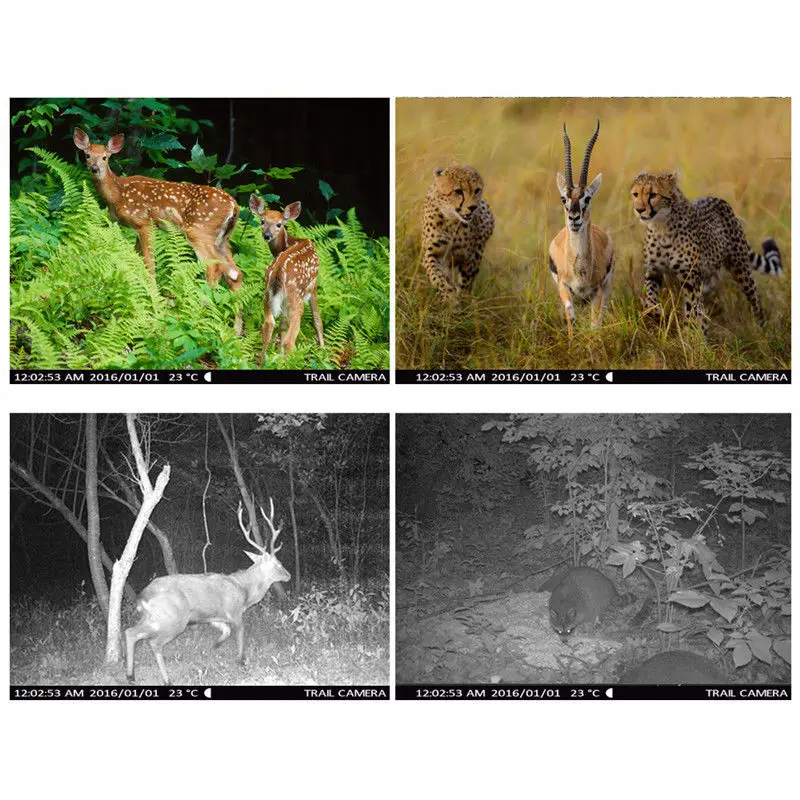 Boblov CT008 дикой природы Камера ловушка 12MP 1080 P игры инфракрасный Trail Long Range Chasse Caméras
