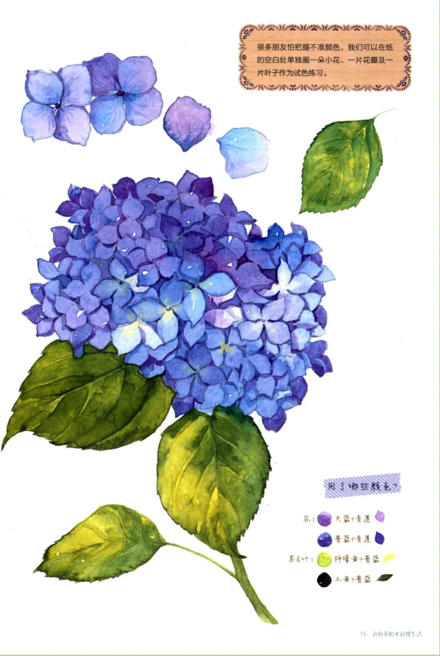 Эскиз книги живопись книга жизни: Исцеление акварельной жизни медленно изучая