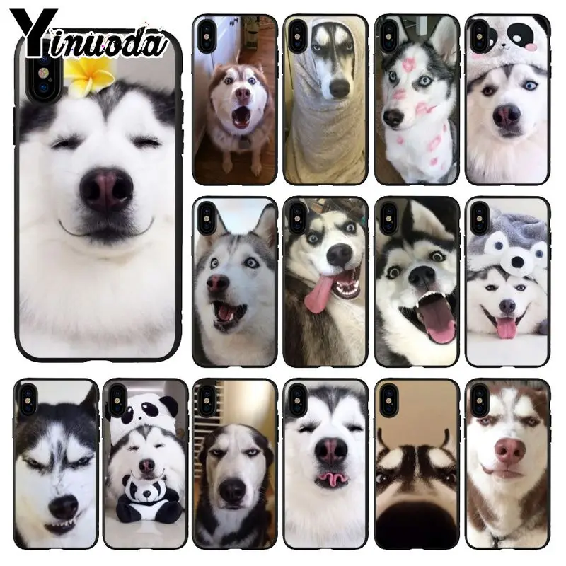 Yinuoda Хаски милый простой черный мягкий чехол для телефона iPhone 6S 6plus 7plus 8 8Plus X Xs MAX 5 5S