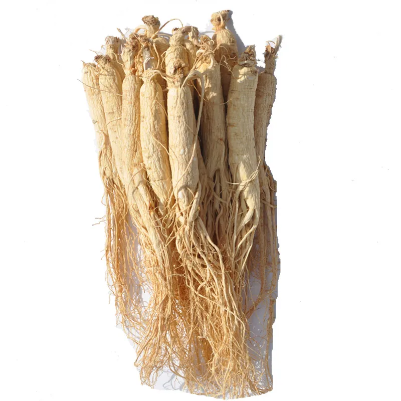 

White Ginseng Root ,Panax Ginseng Root,China Herbal 8 Years Roots