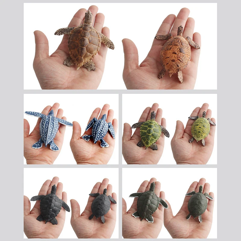 Simulation Animal Model Toy Turtle Figurine Decoration Collection Student Gift Learning Nature |