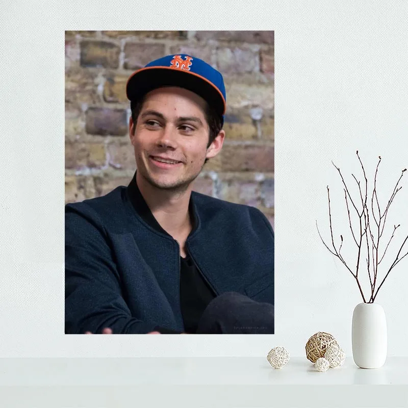 Красивый пользовательский парусиновый плакат Dylan Oɻrien с принтом