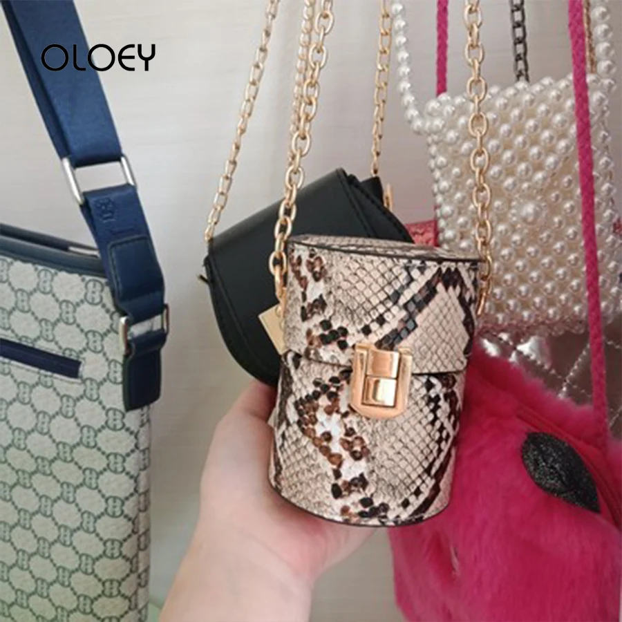 

Retro Mini Cylinder Bag 2019 New Small Bag Leather Snake Pattern Chain Crossbody Bags for Female Handbag Women Shoulder Bags Sac
