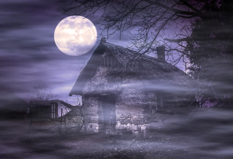 Laeacco фоны для фотосъемки таинственная деревня луна ночь Adobe House сцена
