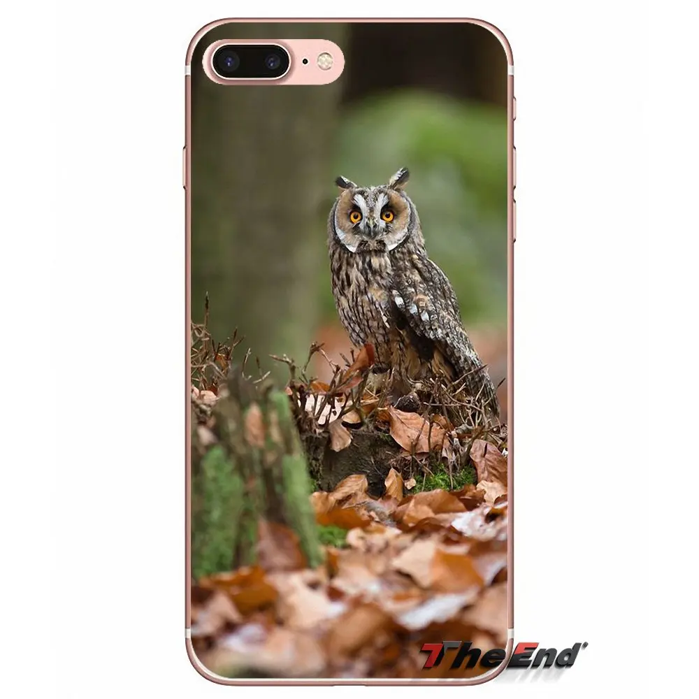 Длинный Ушастый Сова Asio otus Силиконовый ТПУ чехол для iPhone X 4 4S 5 5S 5C SE 6 6S 7 8 Plus Samsung