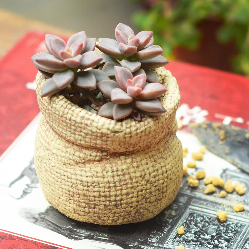Льняная сумка керамические цветочные горшки для украшения дома настольные