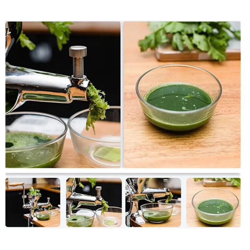 Соковыжималка из нержавеющей стали для продажи|juicer wheat grass|slow juicer stainless steelwheat grass |