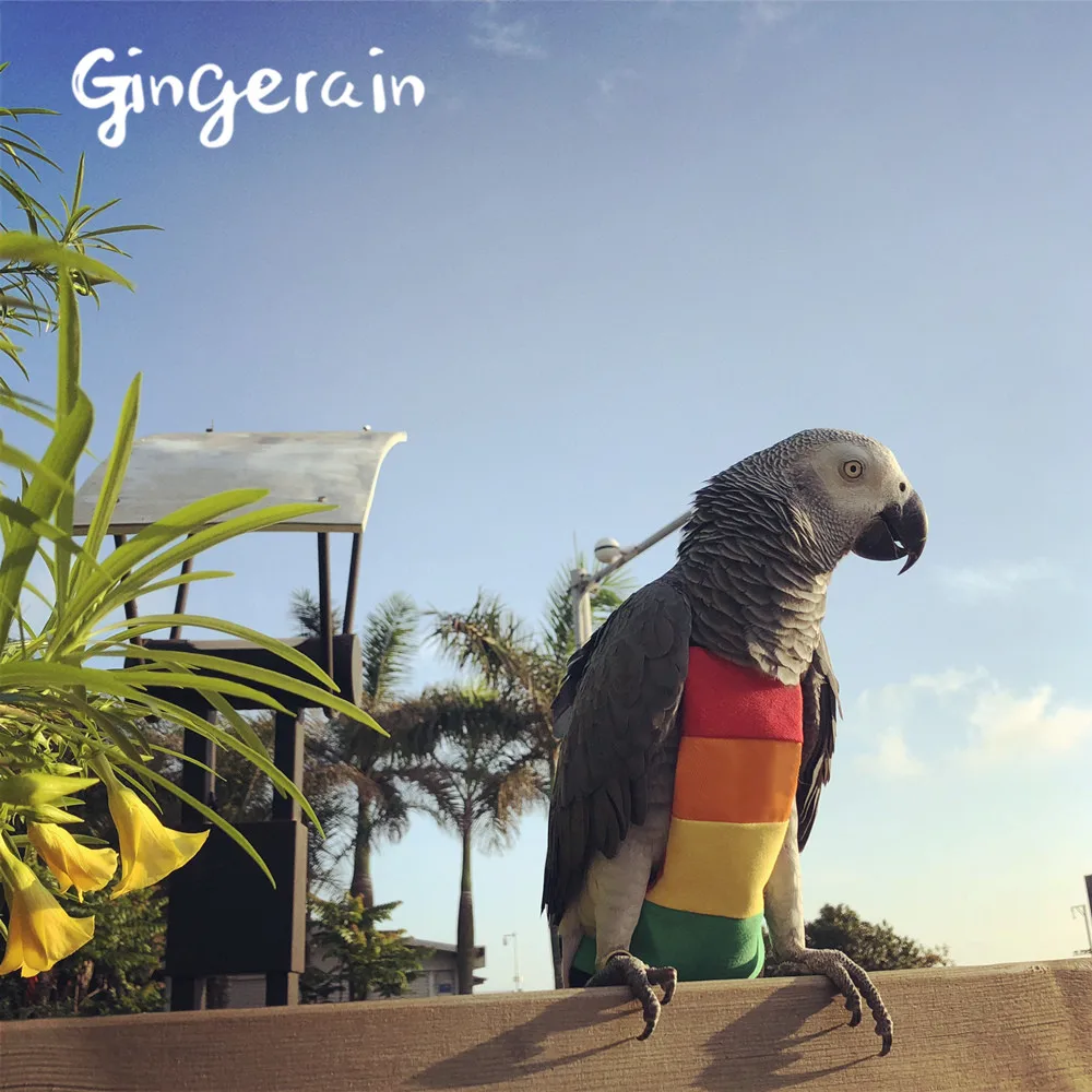 Gingerain одежда с птицами попугай пеленки Радуга оригинальный ручной работы на