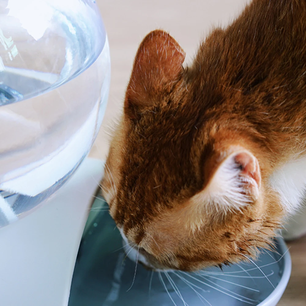 2.8L Automatic Cats Dogs Pet Feeder Pet Water Feeder Dispenser Cat Automatic Drinking Fountain for Cats Dogs