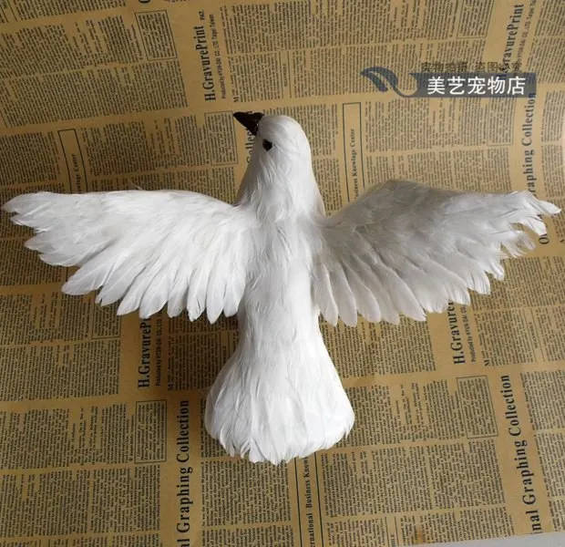 True feather white dove peace shooting props wedding ornaments gifts teaching specimens | Дом и сад