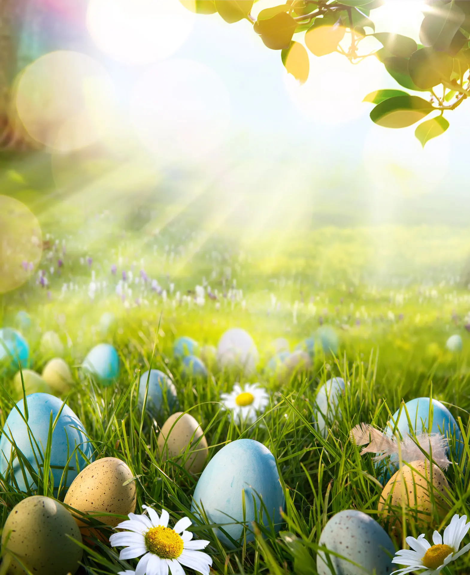 

LIFE MAGIC BOX Egg Sunshine 150x200cm Custom Photo Backdrops Wall Photo Background easter photography backdrops J02891