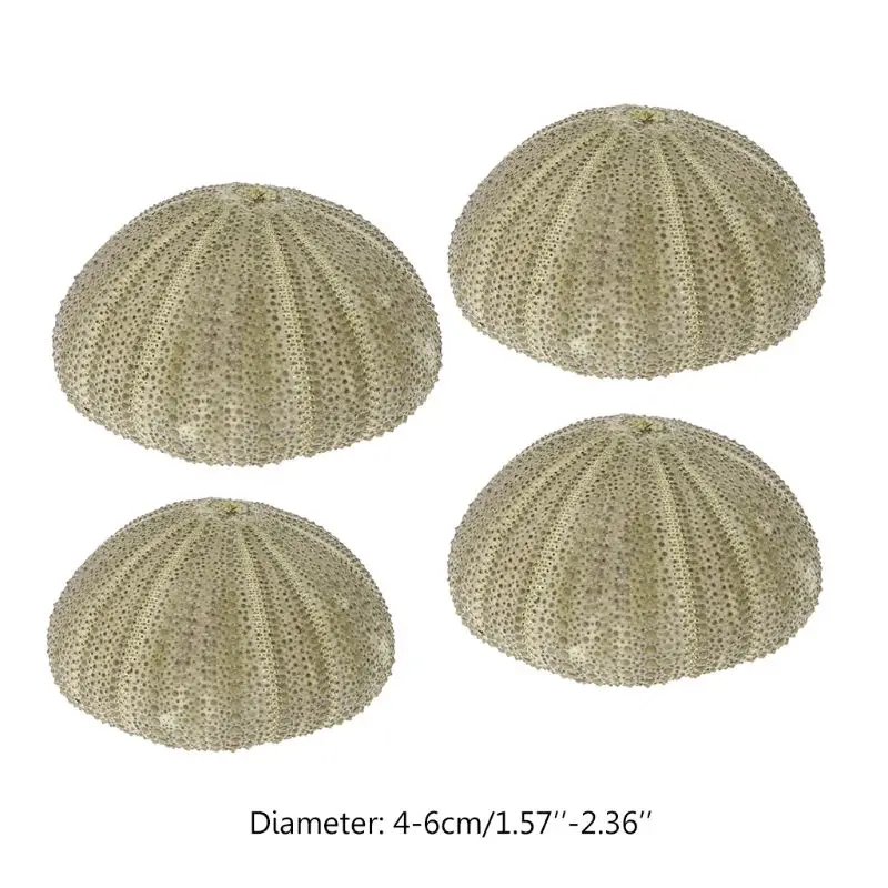 1 шт. натуральное украшение для аквариума | Дом и сад