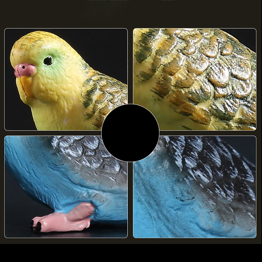 Эмуляция попугая Budgerigar Птица Животное модель игрушка пластиковое