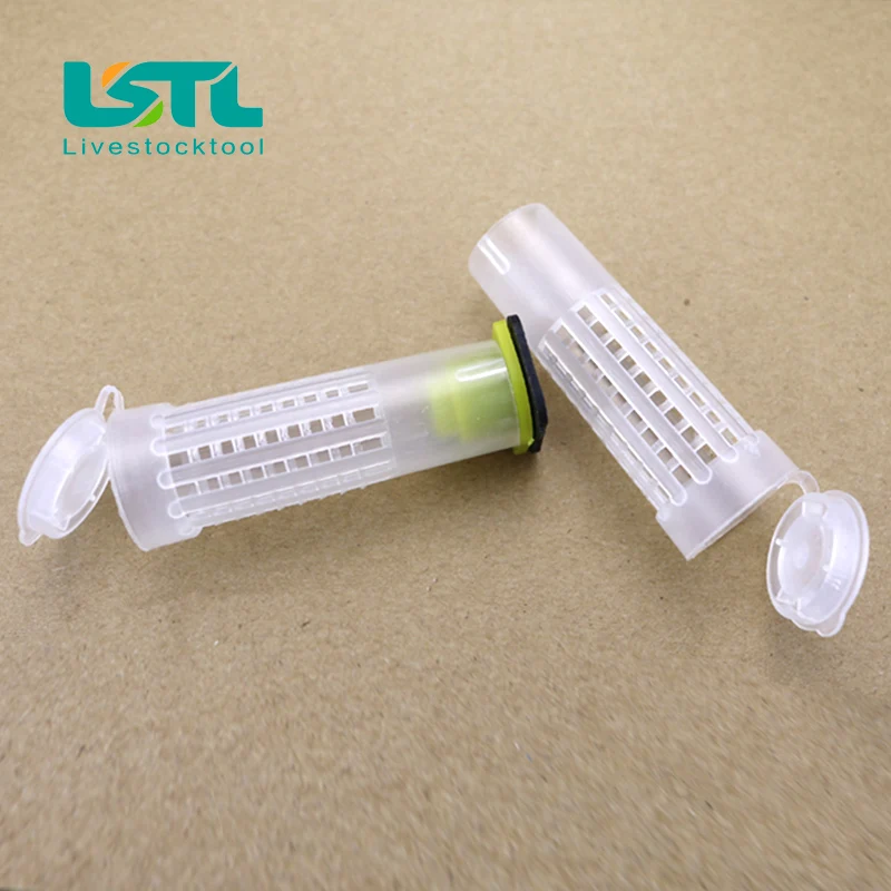 30 шт. клетки для пчелиных ячеек|equipment|equipment tools |