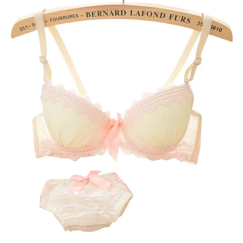 Bra Set Женские сексуальные трусики и комплекты бюстгальтеров кружевной комплект нижнего белья пуш-ап нижнее белье женское белье - Цвет: Bra Set